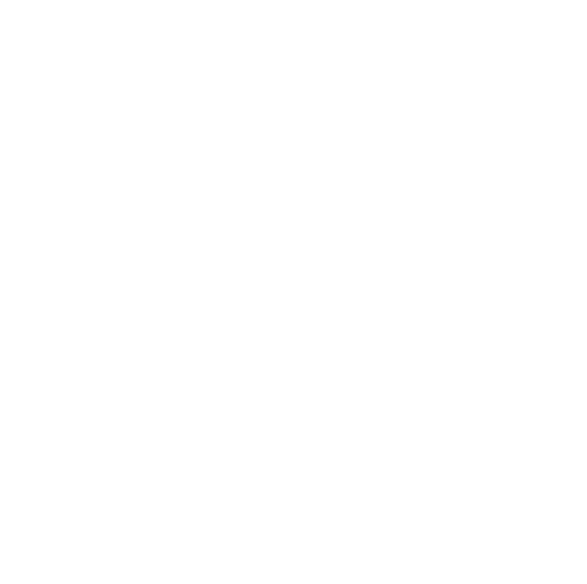Wordpress Logo white
