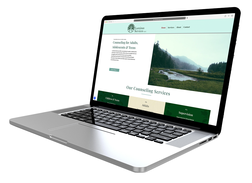 Luminas Services website design